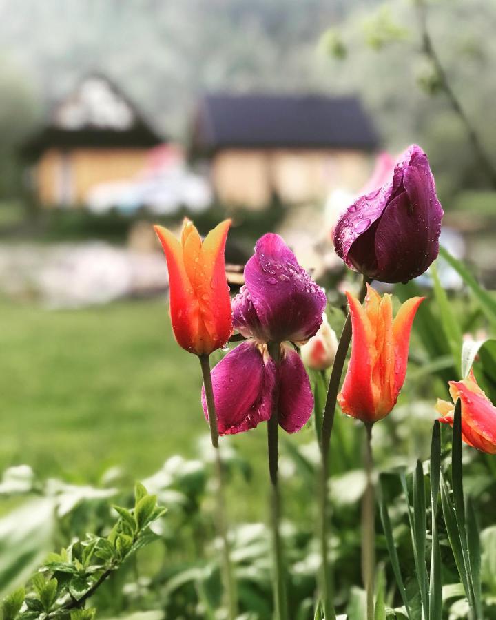 Mala Gorczanska Chatka Ochotnica Dolna Esterno foto